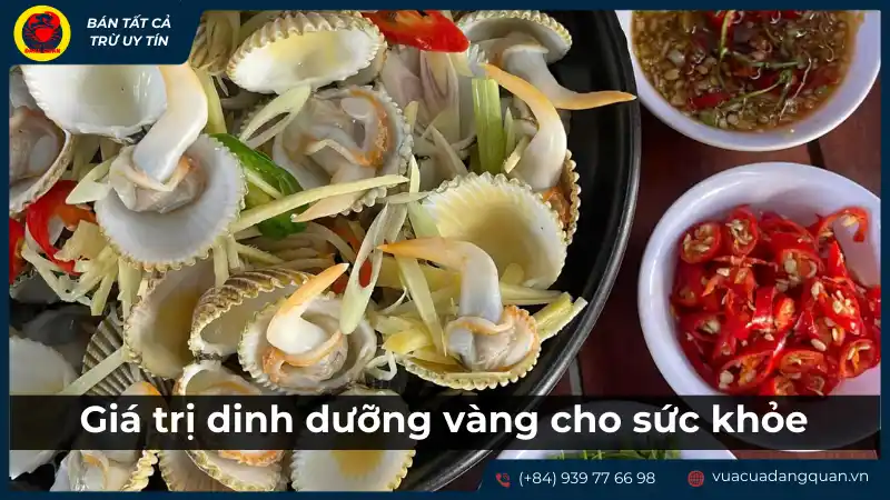 Giá trị dinh dưỡng và lợi ích sức khỏe của sò dương Cần Thơ