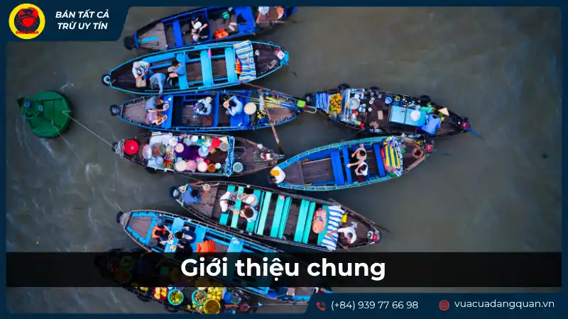 Quang cảnh chợ nổi Cái Răng với nhiều thuyền bè tấp nập, giới thiệu chung về đặc sản Cần Thơ