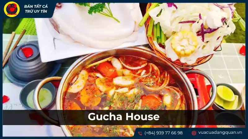 Nồi lẩu nóng hổi với các món nhúng tươi ngon tại Gucha House, một địa điểm đặt tiệc sinh nhật ở Cần Thơ