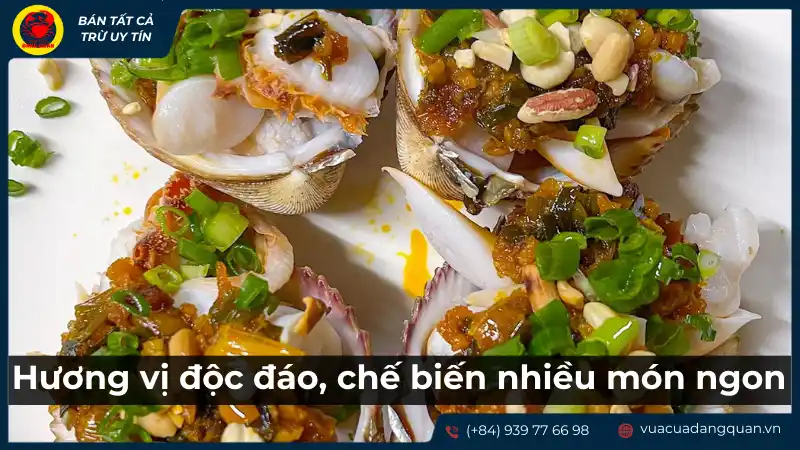 Hương vị độc đáo và cách chế biến sò dương thành nhiều món ngon