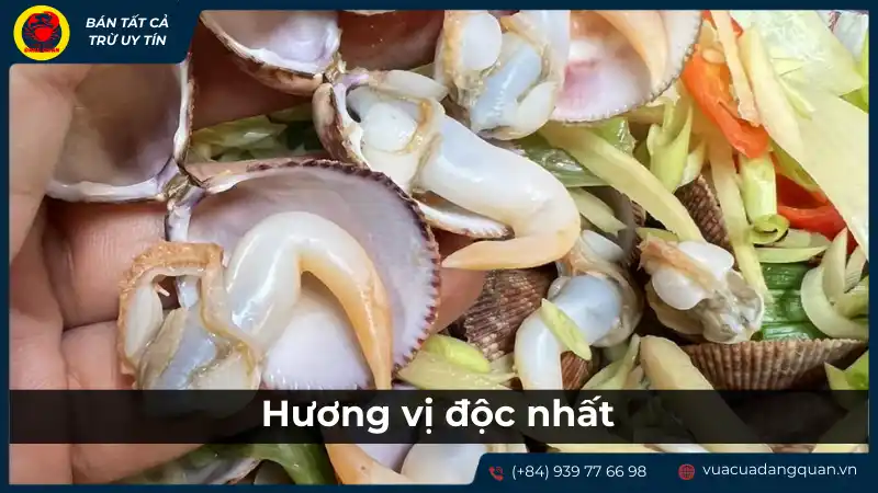 Hương vị đặc trưng của sò dương tươi sống tại Cần Thơ
