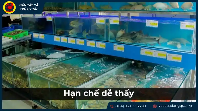 Không gian hạn chế của vựa hải sản, có thể không thoải mái bằng nhà hàng