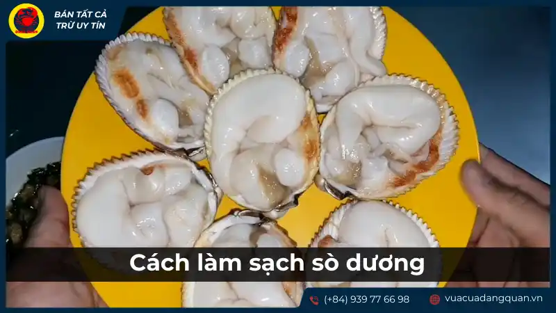Hướng dẫn làm sạch sò dương trước khi chế biến