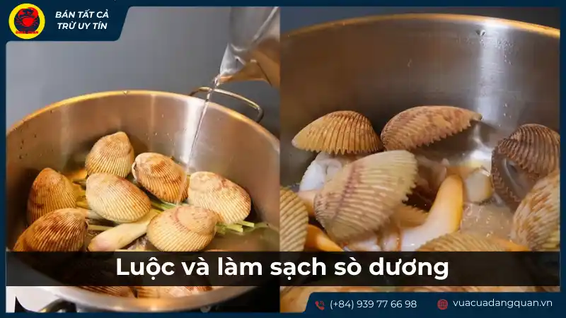Luộc và làm sạch sò dương trước khi chế biến