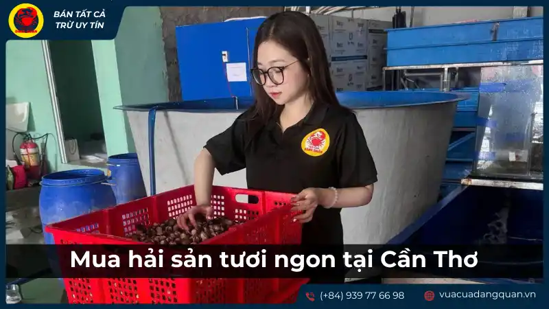 Nơi mua hải sản tươi sống và chất lượng tại Cần Thơ