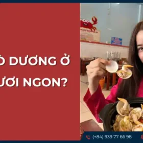 Địa chỉ uy tín để mua sò dương tươi ngon