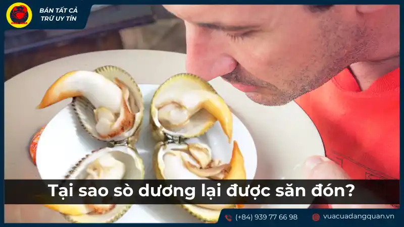 Cách kiểm tra sò dương tươi ngon qua mùi hương