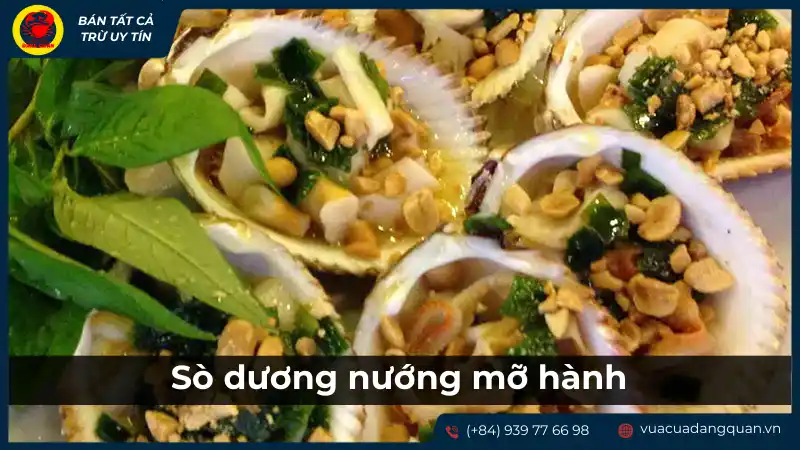 Món sò dương nướng mỡ hành thơm ngon, trình bày hấp dẫn