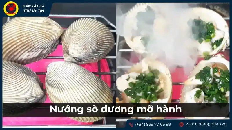 Nướng sò dương mỡ hành trên bếp