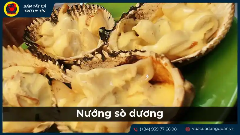 Nướng sò dương để làm món nướng phô mai