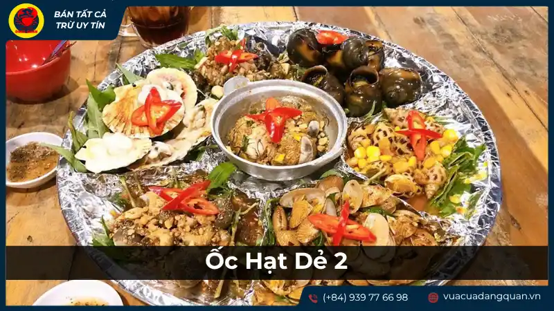 Đĩa ốc được bày trí hấp dẫn với nhiều loại ốc khác nhau, tươi ngon và đầy màu sắc