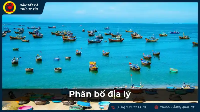 Phân bố địa lý của sò dương trên bản đồ thế giới