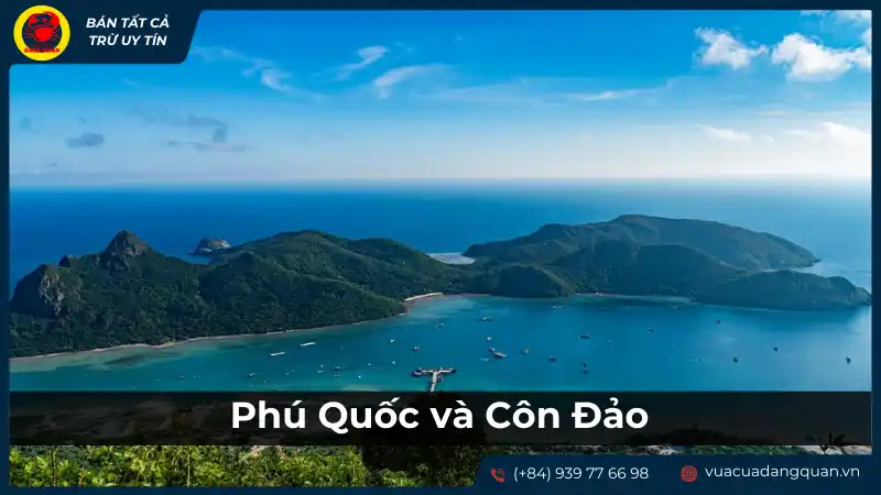Cận cảnh nơi sinh sống của sò dương tại Phú Quốc và Côn Đảo
