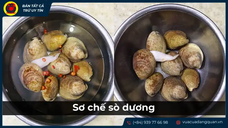 Sơ chế sò dương sạch sẽ cho món hấp sả