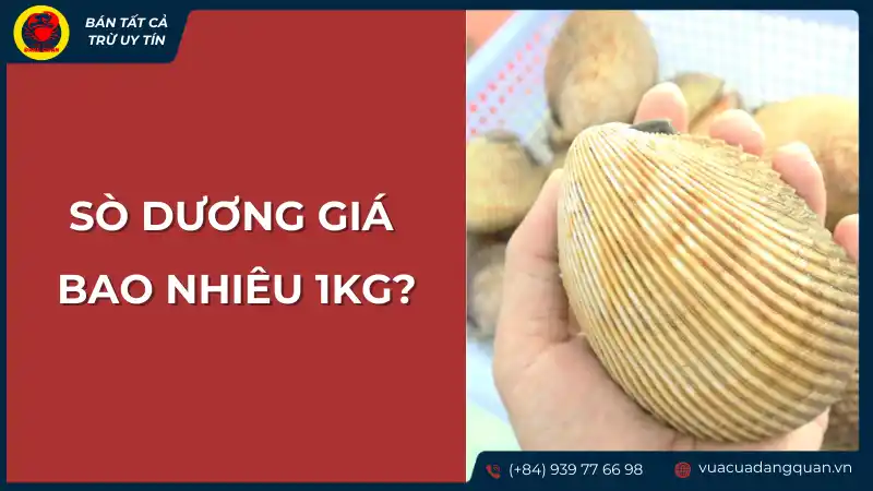 Giá sò dương tươi sống trên thị trường