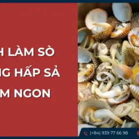 Cách làm sò dương hấp sả thơm ngon