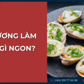 Tổng hợp các món ngon được làm từ sò dương