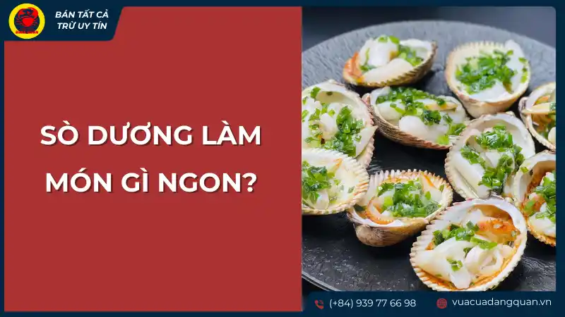Tổng hợp các món ngon được làm từ sò dương