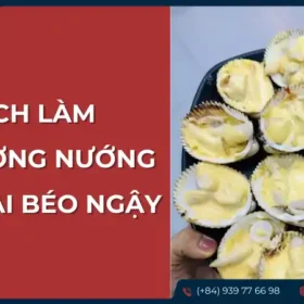 Cách làm món sò dương nướng phô mai béo ngậy