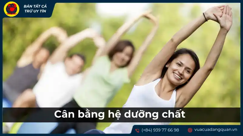 Lợi ích của sò dương đối với sức khỏe tim mạch