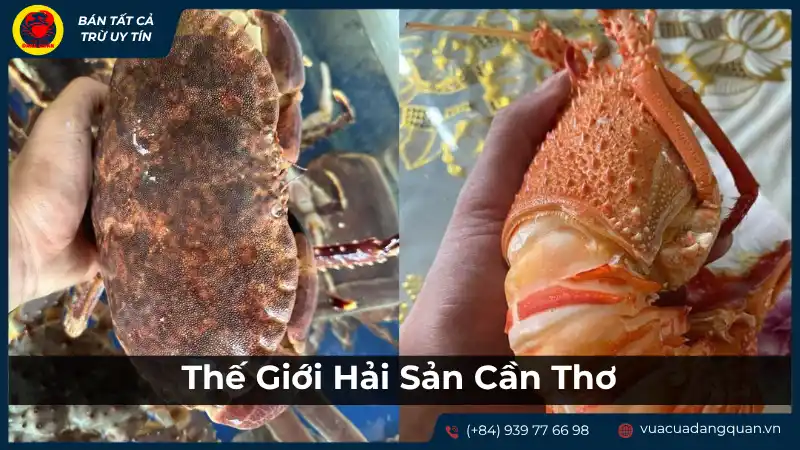 Cua, tôm tại Thế Giới Hải Sản Cần Thơ