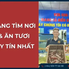 Cẩm nang tìm mua hải sản tươi sống uy tín, giới thiệu địa chỉ uy tín