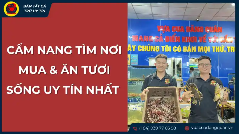Cẩm nang tìm mua hải sản tươi sống uy tín, giới thiệu địa chỉ uy tín
