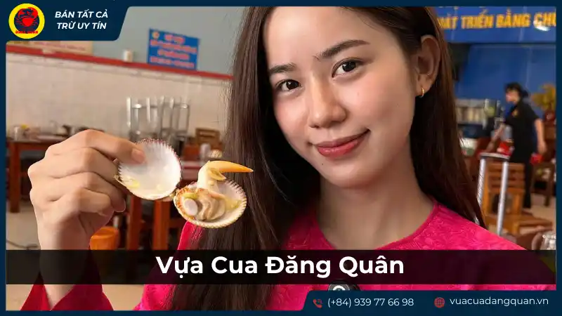 Vựa Của Đặng Quân - địa chỉ cung cấp sò dương chất lượng