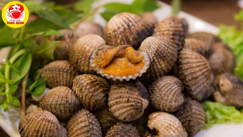 100 gram sò huyết không gây béo