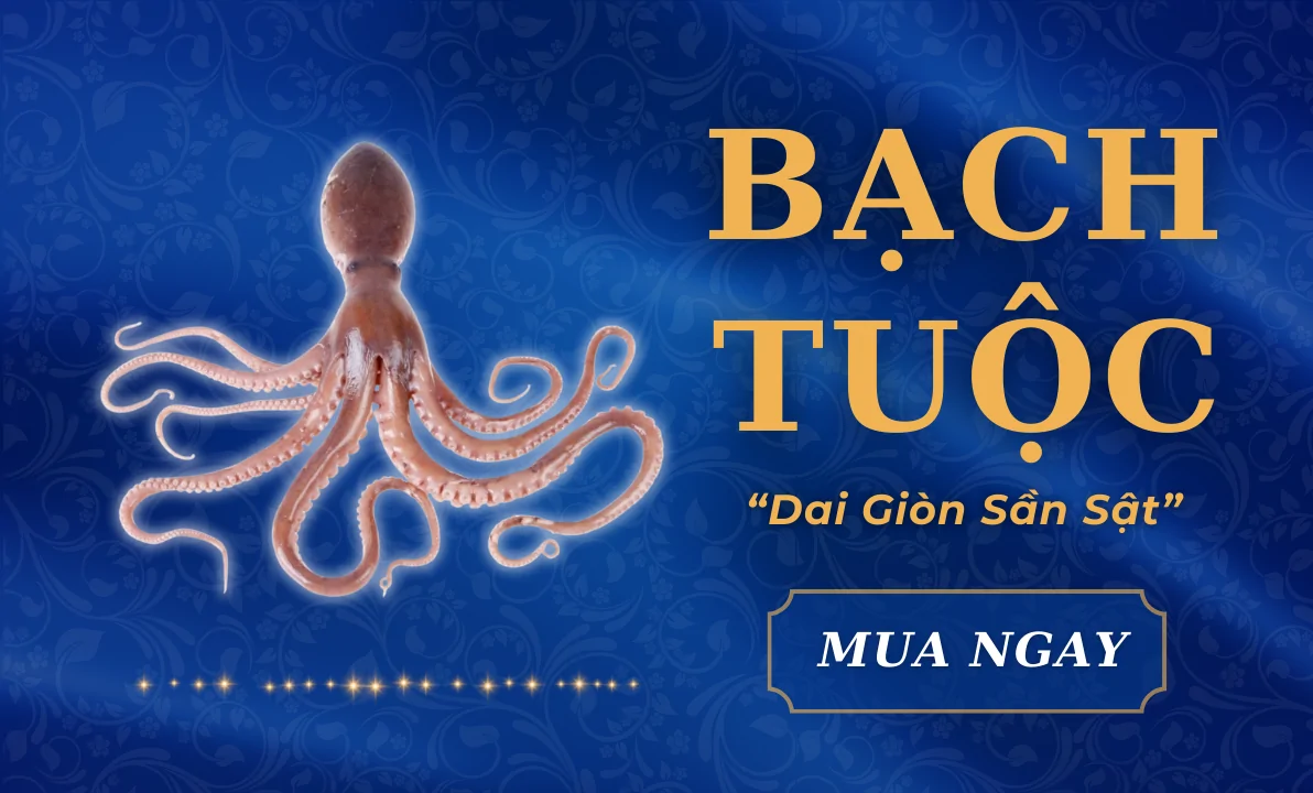 Bạch tuộc banner
