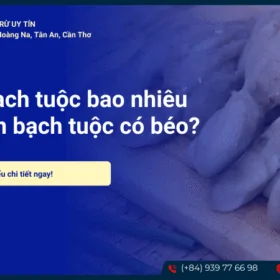 Bạch tuoc bao nhiêu calo?