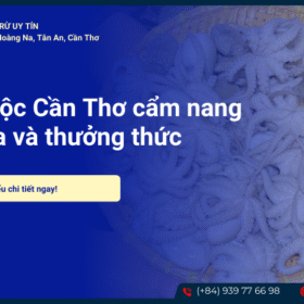 Bạch tuộc Cần Thơ
