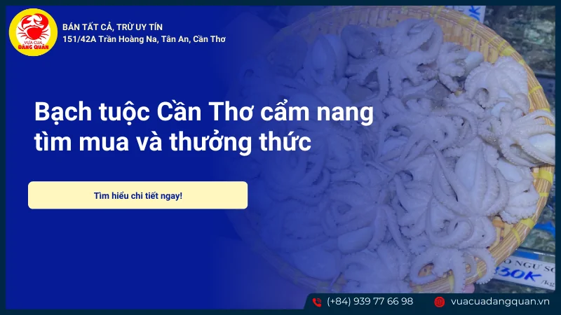 Bạch tuộc Cần Thơ