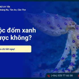 Bạch tuộc đốm xanh