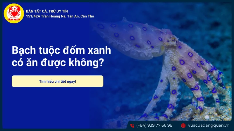 Bạch tuộc đốm xanh