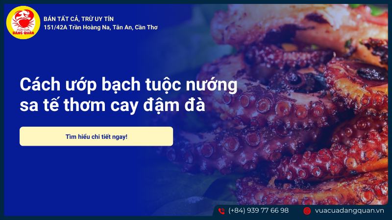 Bạch tuộc nướng sa tế