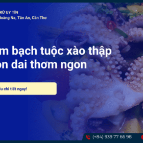 Bạch tuộc xào thập cẩm