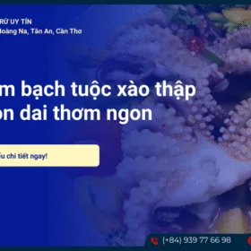Bạch tuộc xào thập cẩm