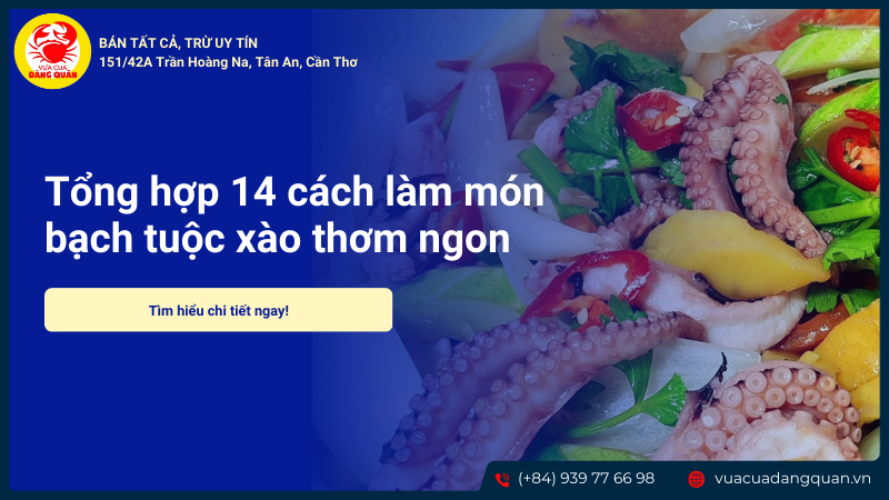 Bạch tuộc xào