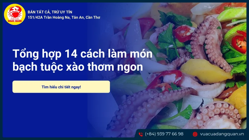 Bạch tuộc xào