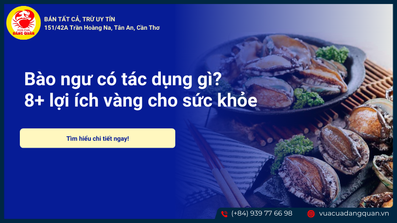 Bào ngư có tác dụng gì