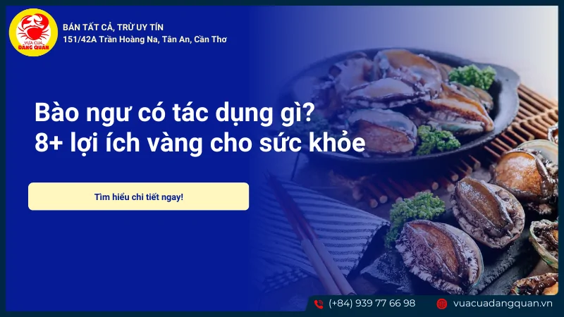 Bào ngư có tác dụng gì