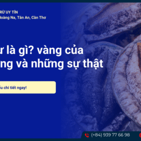 Bảo ngư là gì