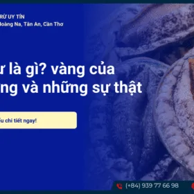 Bảo ngư là gì