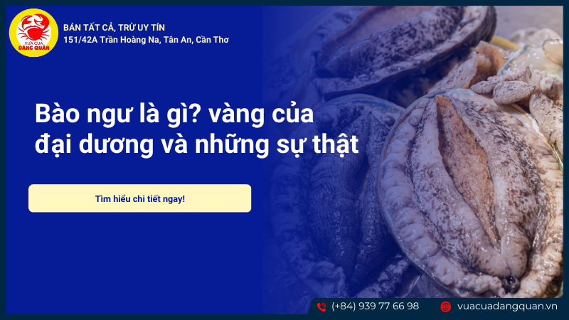 Bảo ngư là gì
