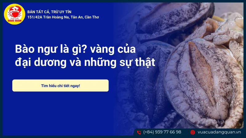 Bảo ngư là gì