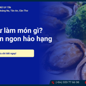 Bào ngư làm món gì?