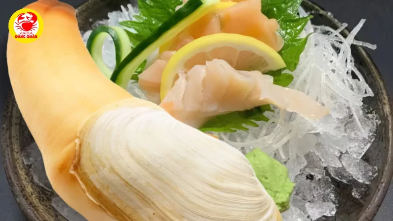 Bí quyết chọn mua ốc vòi voi ở Cần Thơ không sợ bị lầm