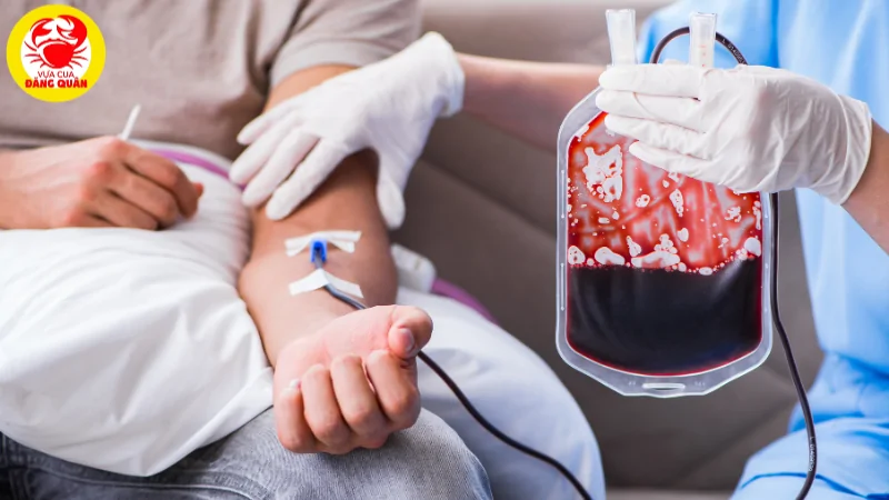 Sò huyết có tác dụng bổ máu