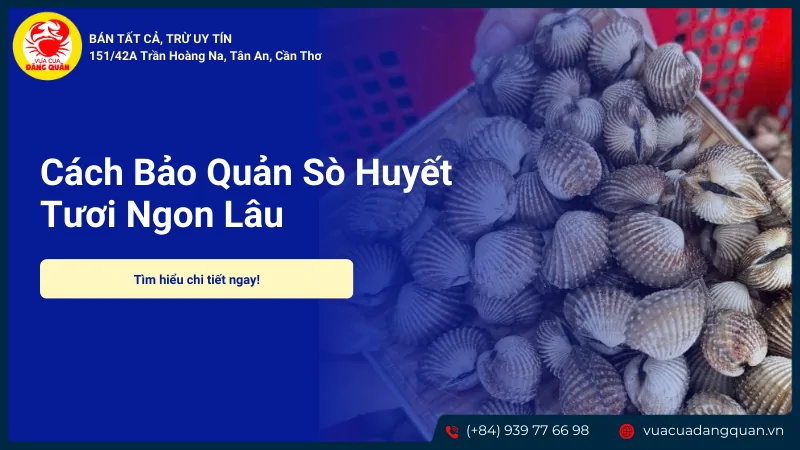 Cách bảo quản sò huyết